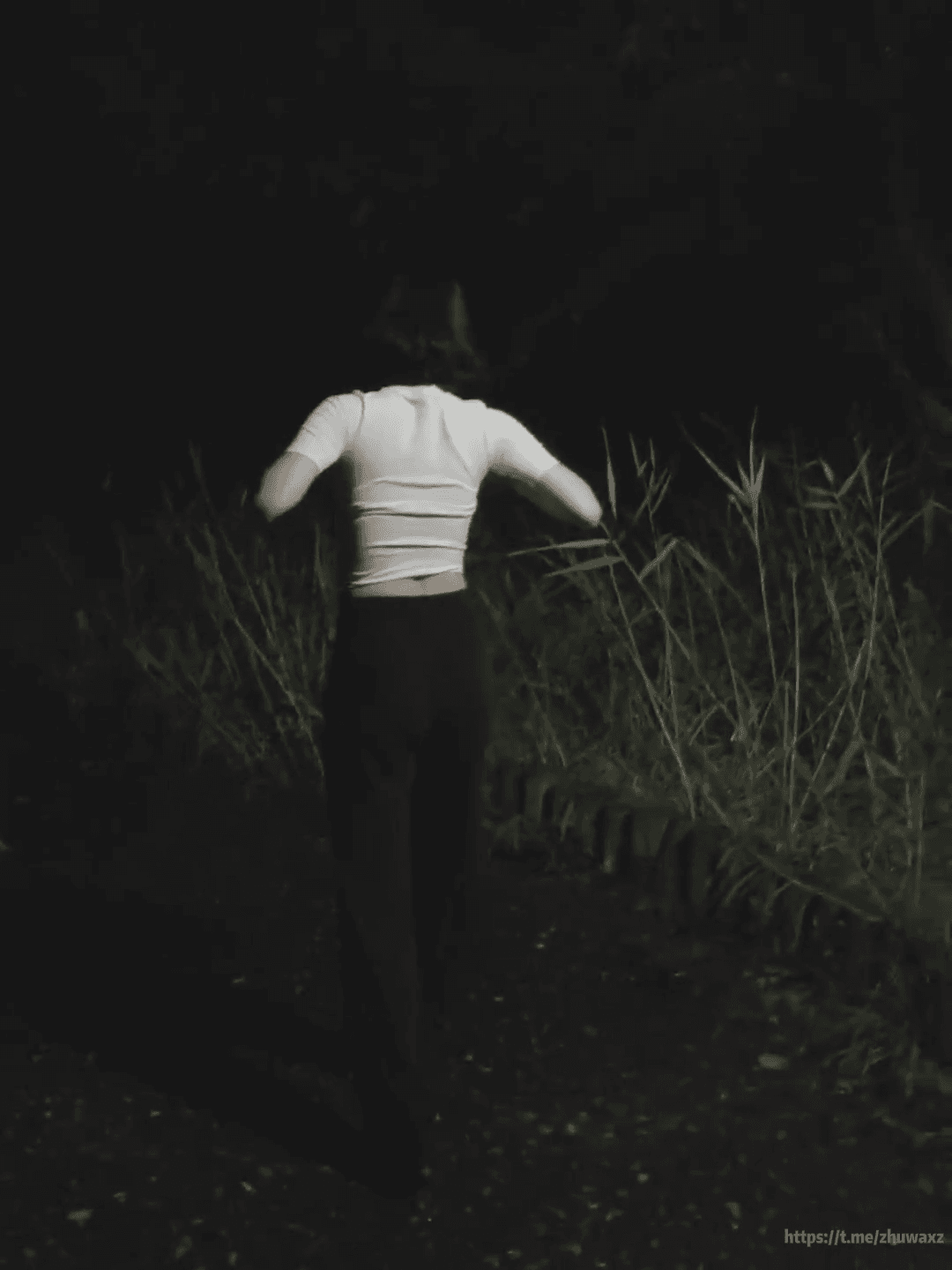 Sseu_dam_005 封面